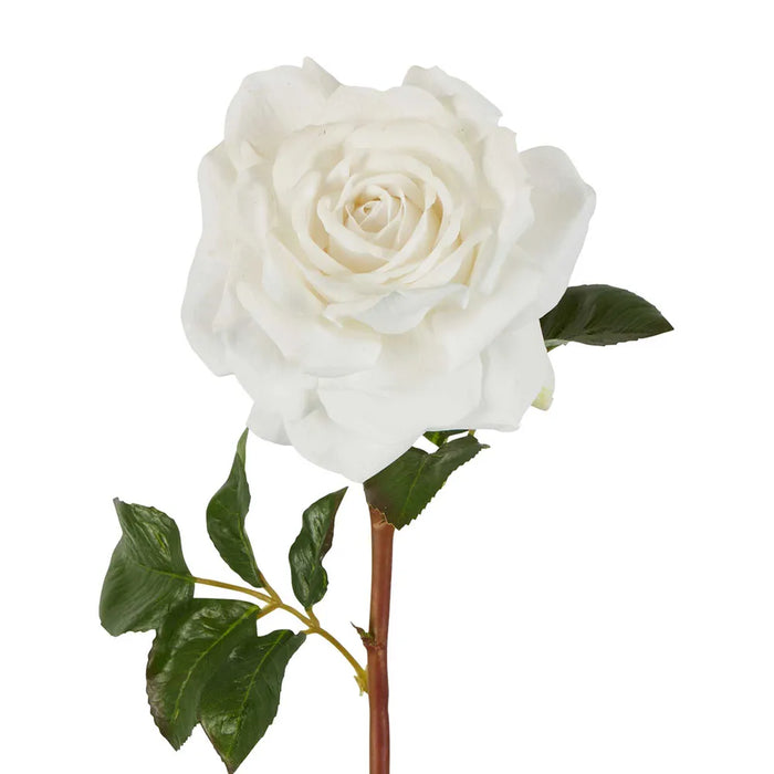 Stella Real Touch Rose Stem White 50cm Pack of 12