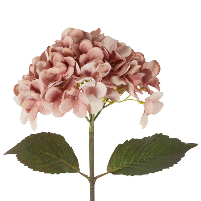 Dried Look Hydrangea Stem Blush Pink 48cm Pack of 12