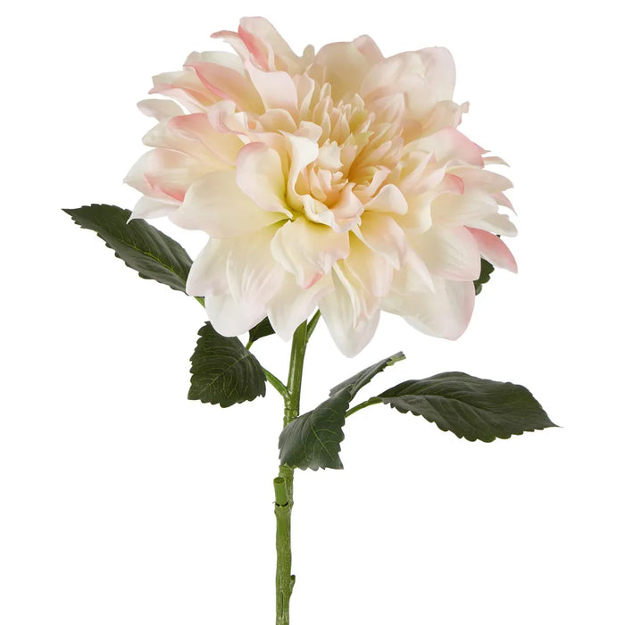 Giant Dahlia Stem Ice Pink 70cm Pack of 12