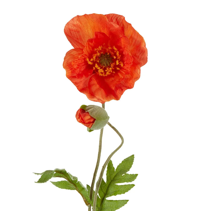 Poppy Stem 68cm Orange Pack of 12