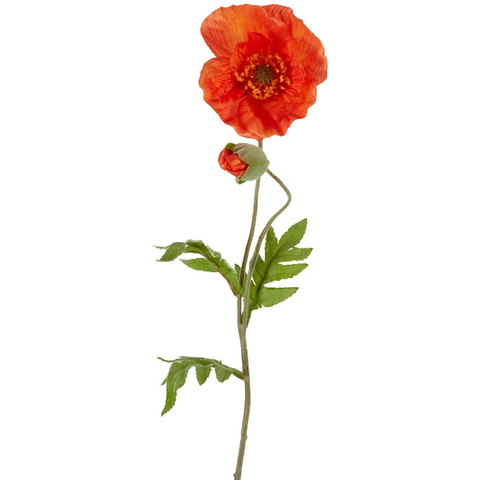 Poppy Stem 68cm Orange Pack of 12