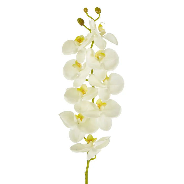 Large Moth Orchid Natural Touch Stem White 60cm Pack of 12