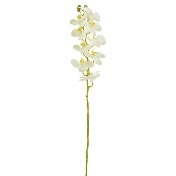 Large Moth Orchid Natural Touch Stem White 60cm Pack of 12