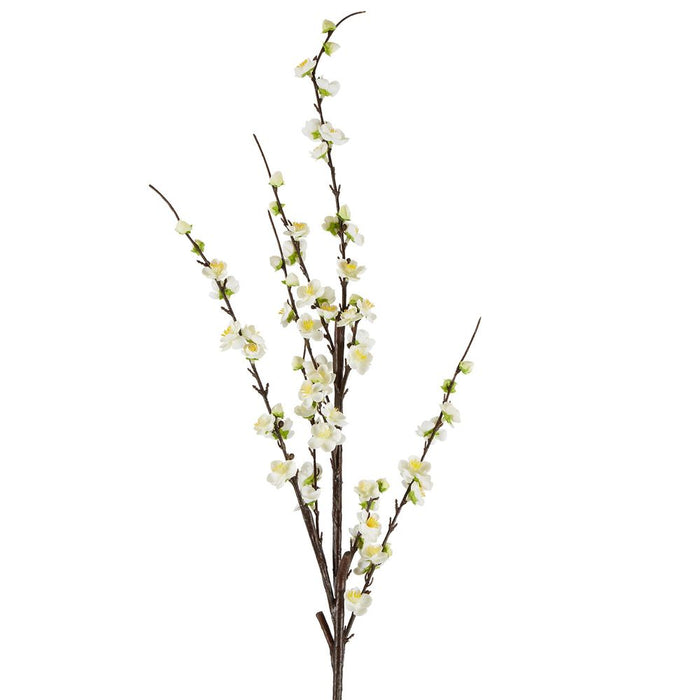 Japonica Blossom Stem White 120cm Pack of 12