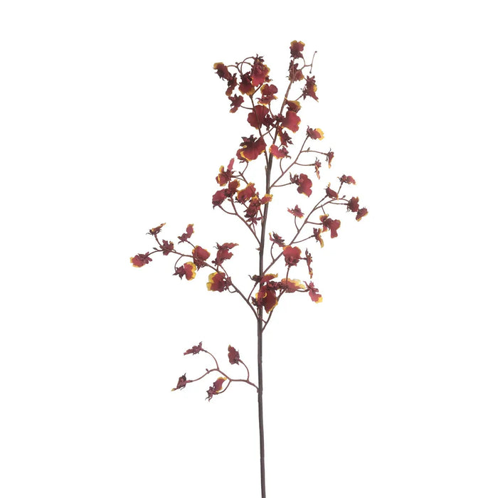 Dancing Orchid Burgundy 93cm Pack of 6