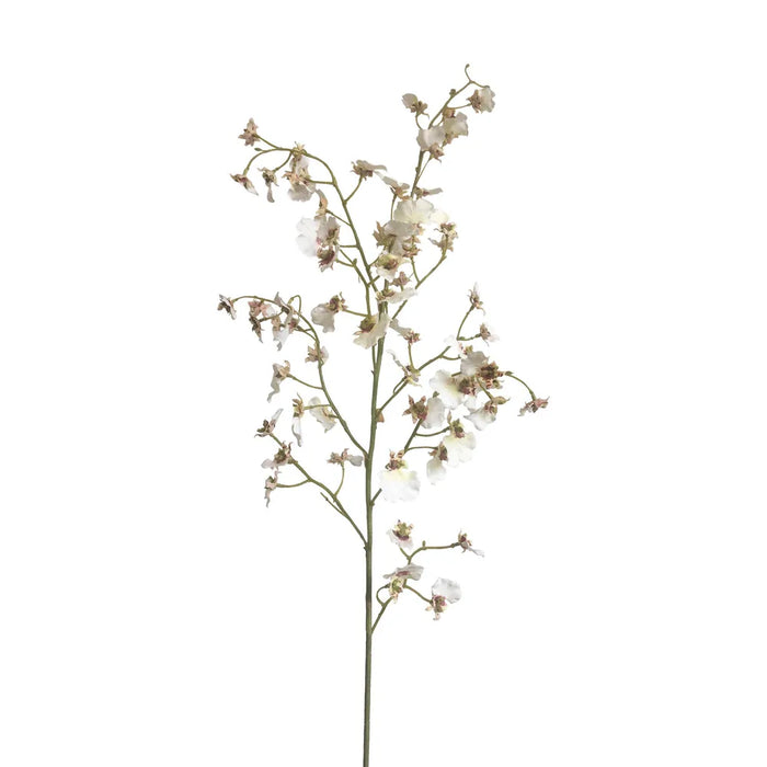 Dancing Orchid White 93cm Pack of 6