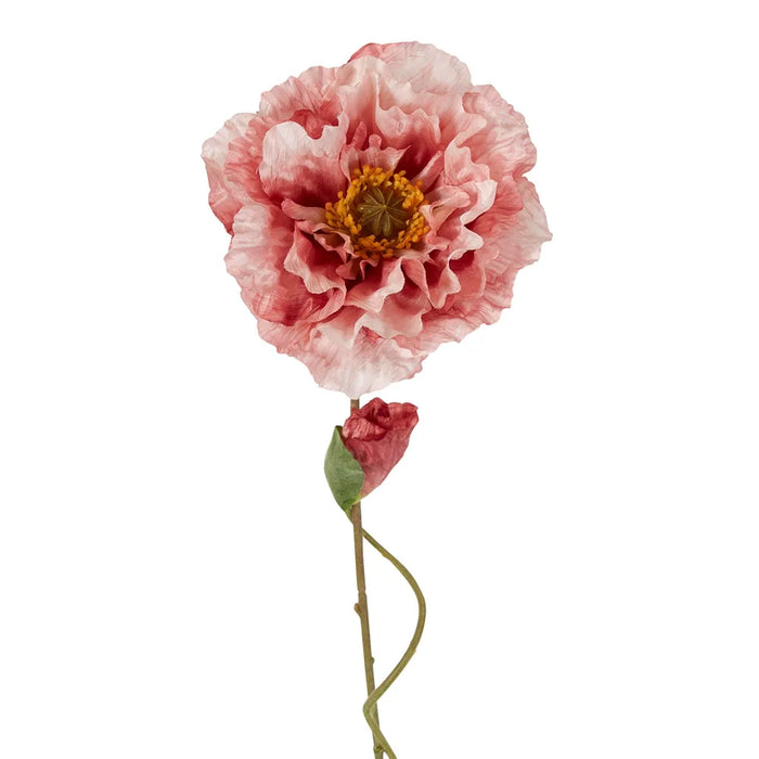 Poppy Stem Pink 75cm Pack of 12