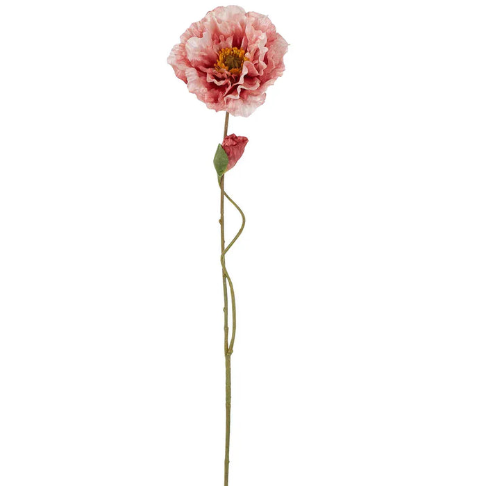 Poppy Stem Pink 75cm Pack of 12