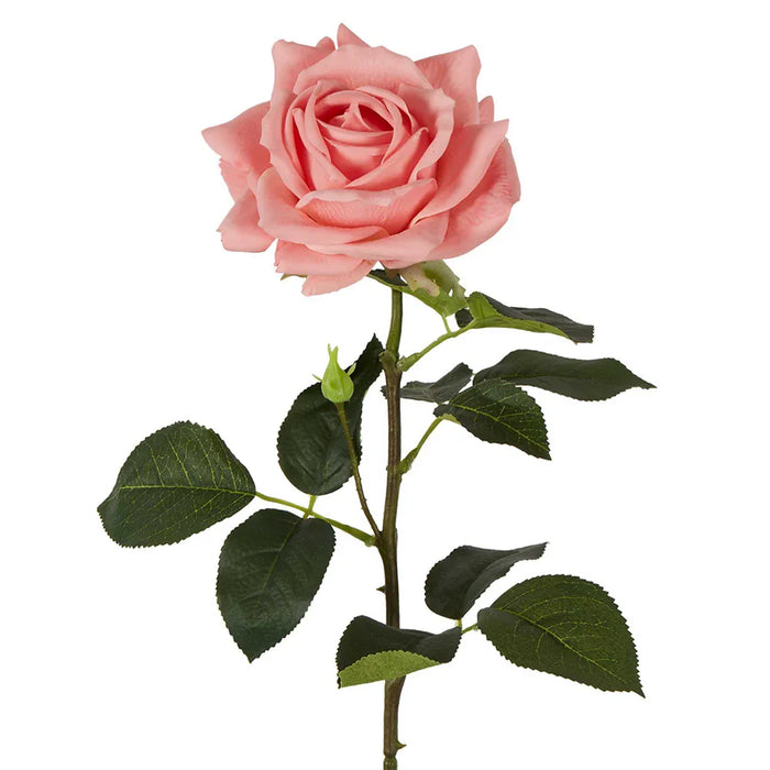 Belle Real Touch Rose Stem Pink 65cm pack of 12