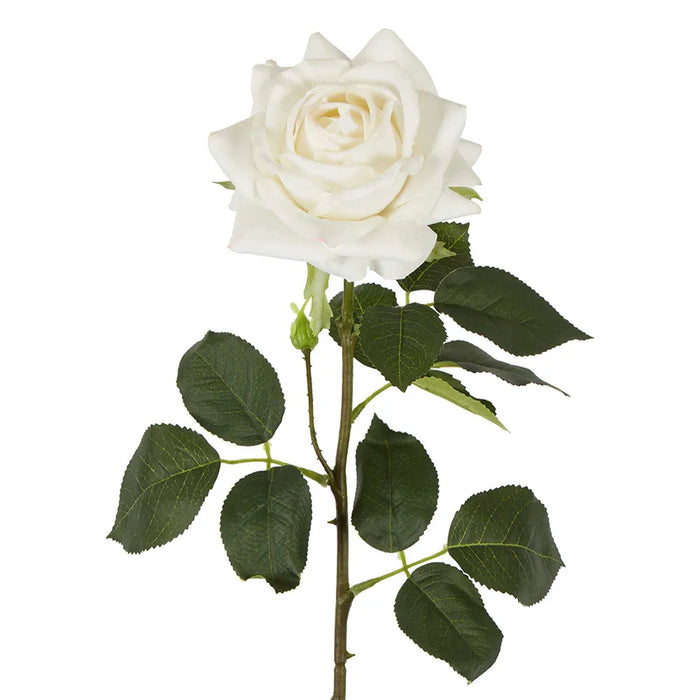 Belle Real Touch Rose Stem White 65cm Pack of 12