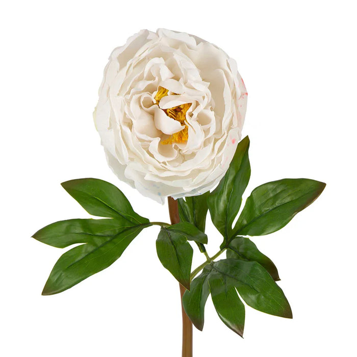 Peony Flower Real Touch Stem White Large 62cm Pack of 12