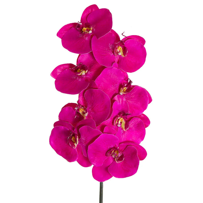 Orchid Phalaenopsis Spray Mauve 100cm Pack of 6