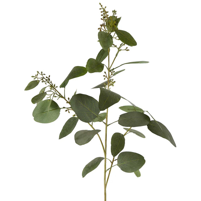 Eucalyptus Seed Spray With 20 Leaves Grey & Green 92cm Pack of 12