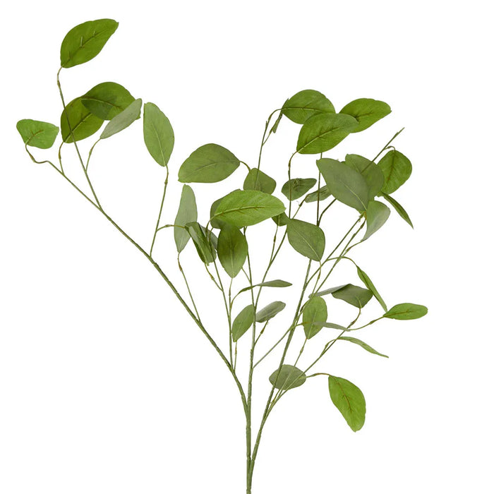 Eucalyptus Seed Spray With 42 Leaves Green 89cm Pack of 12