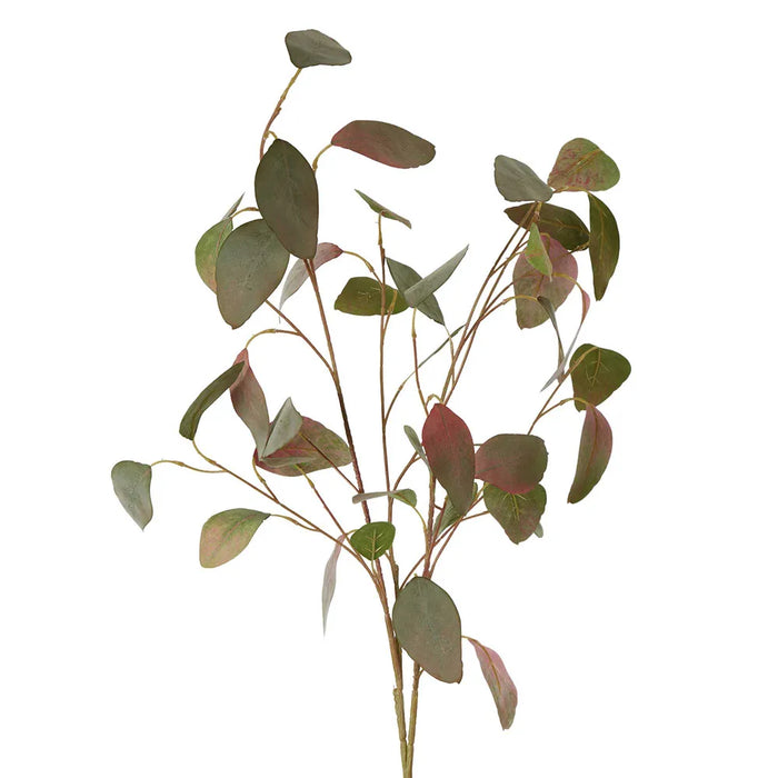 Eucalyptus Seed Spray With 42 Leaves Green & Pink 89cm Pack of 12