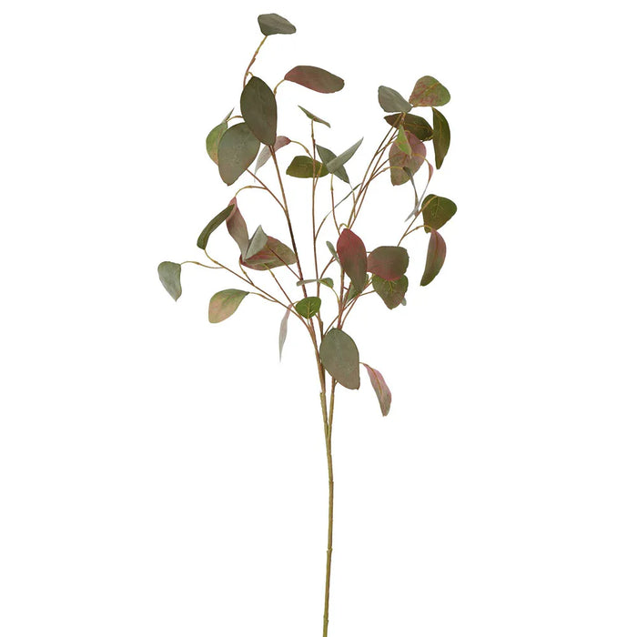 Eucalyptus Seed Spray With 42 Leaves Green & Pink 89cm Pack of 12