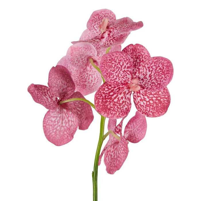 Vanda Orchid Stem Pink 66cm Pack of 6