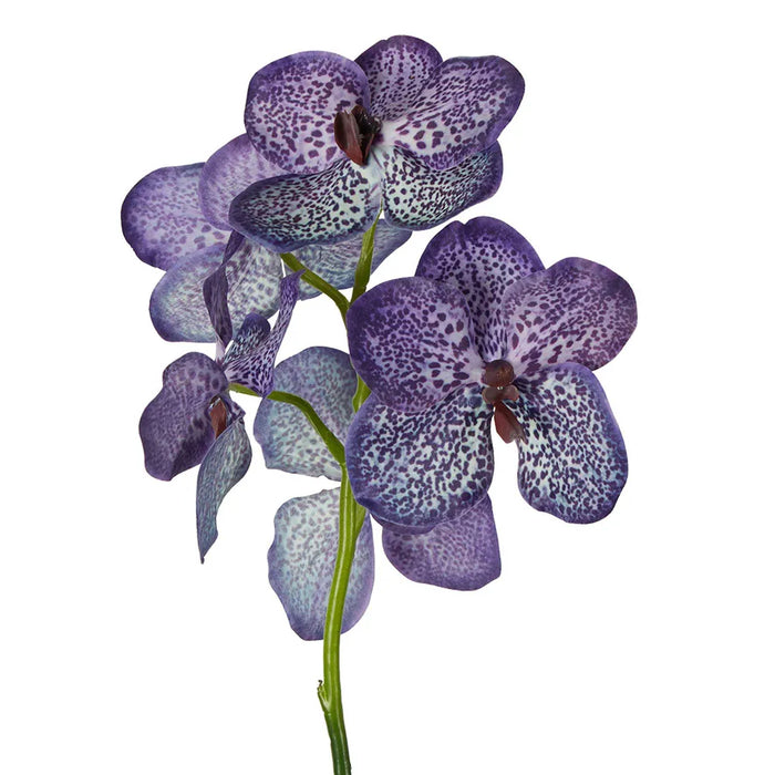 Vanda Orchid Stem Purple 66cm Pack of 6