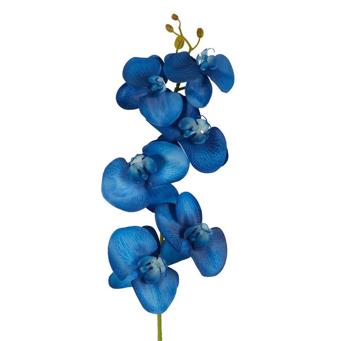 Orchid Single Stem Royal Blue 80cm Pack of 12