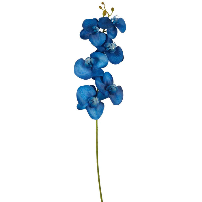 Orchid Single Stem Royal Blue 80cm Pack of 12
