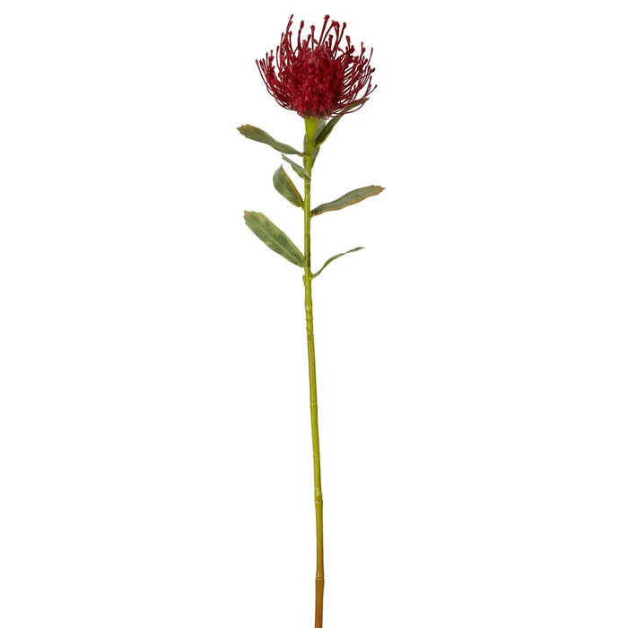 Pincushion Stem Red 63cm Pack of 12