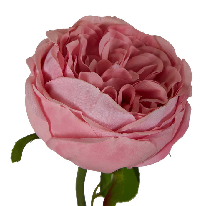 Real Touch Cabbage Rose Pink 67cm Pack of 12