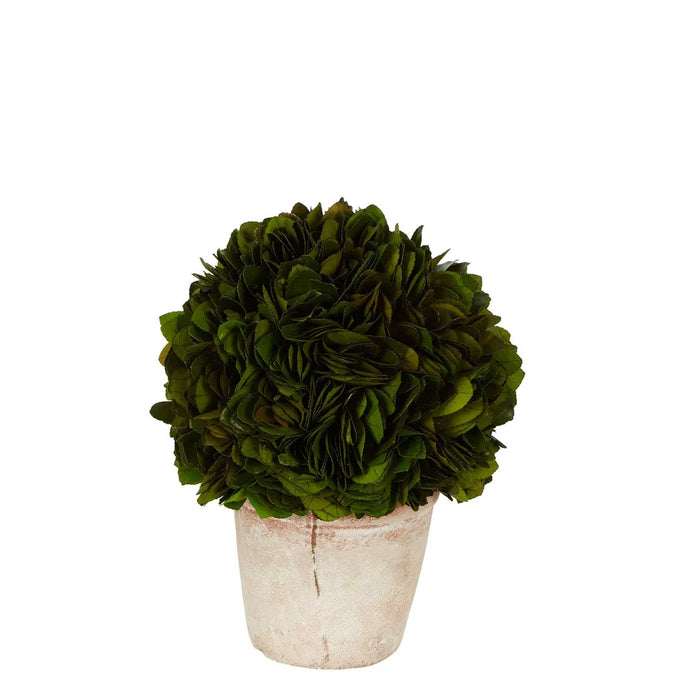 Preserved Holly Ball In Terracotta Pot 26cm