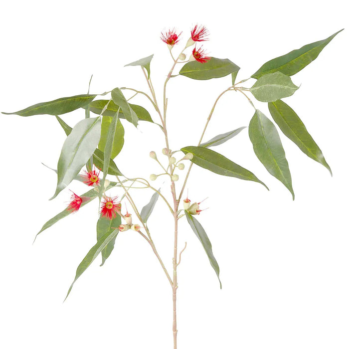 Eucalyptus Flower Spray Red & Green 92cm Pack of 12