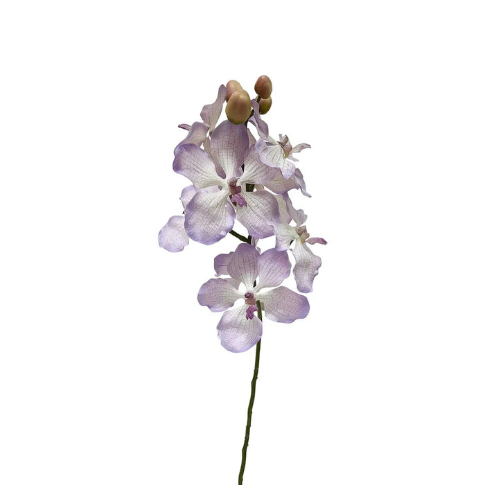 Dendrobium Orchid Spray Lilac 58cm Pack of 12