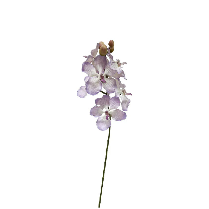 Dendrobium Orchid Spray Lilac 58cm Pack of 12
