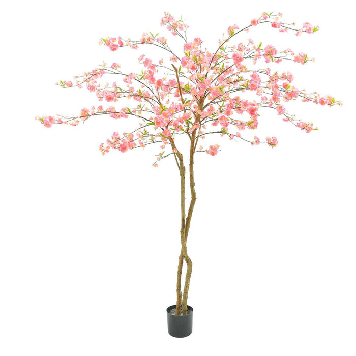 Cherry Blossoms Tree 150cm