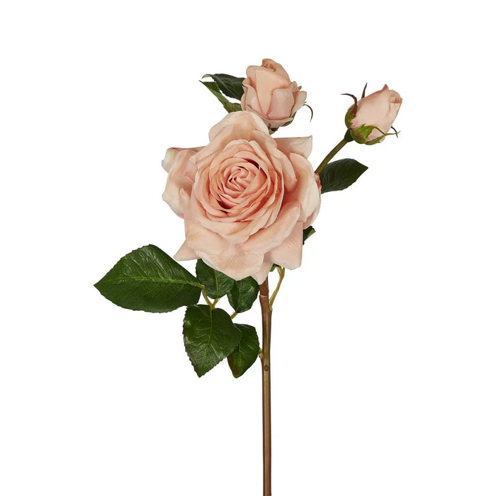 Olivia Bud Real Touch Rose Stem Blush Pink 53cm Pack of 12