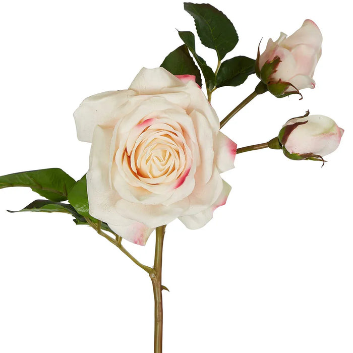 Olivia Bud Real Touch Rose Stem Soft Pink 53cm Pack of 12