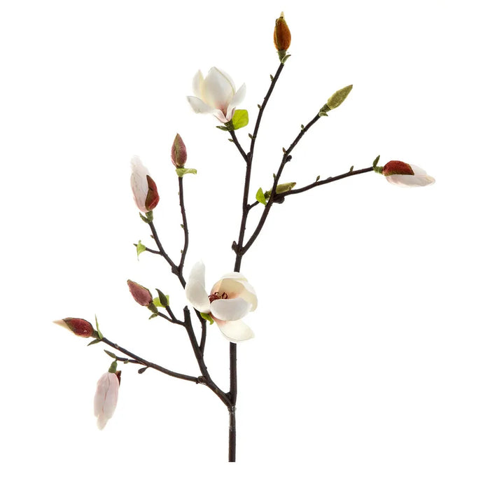 Magnolia Spray Cream & White 90cm Pack of 12