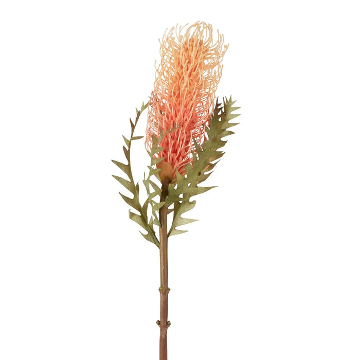 Dried Look Banksia Stem Peach Orange 75cm Pack of 12