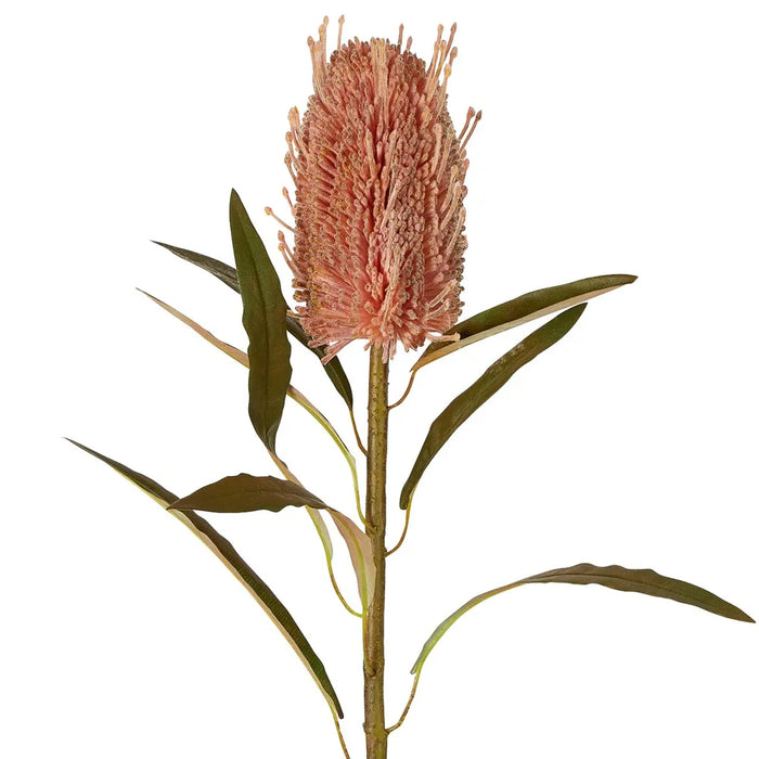 Dried Look Banksia Stem Dusty Pink 56cm Pack of 12