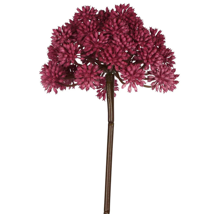 Allium Fuschia Pink 98cm Pack of 6