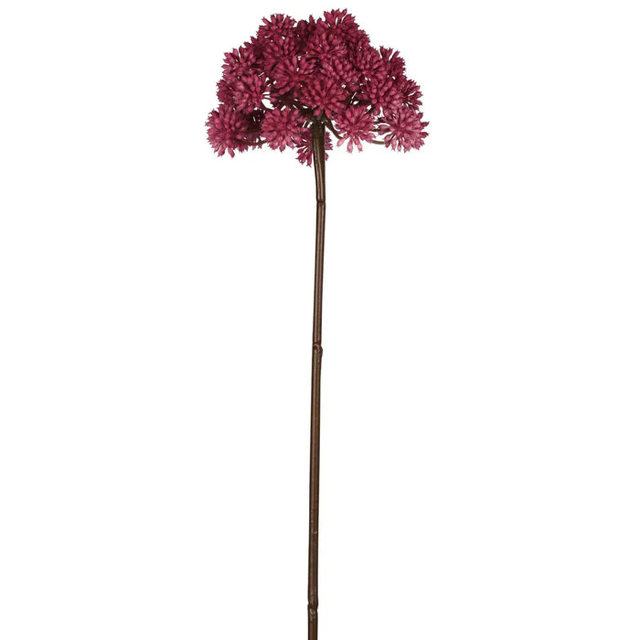 Allium Fuschia Pink 98cm Pack of 6