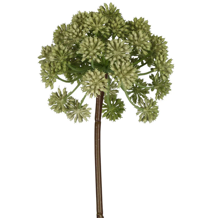 Allium Green 98cm Pack of 6