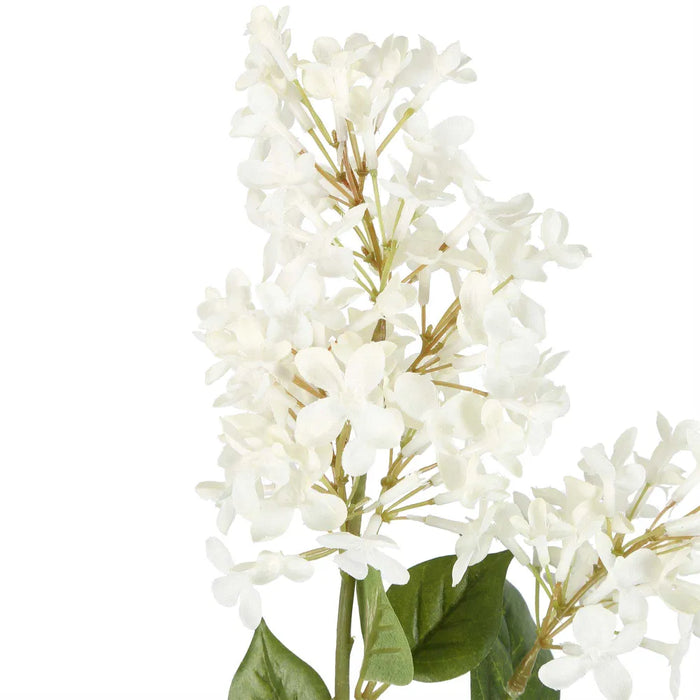 Lilac Spray White 72cm Pack of 12