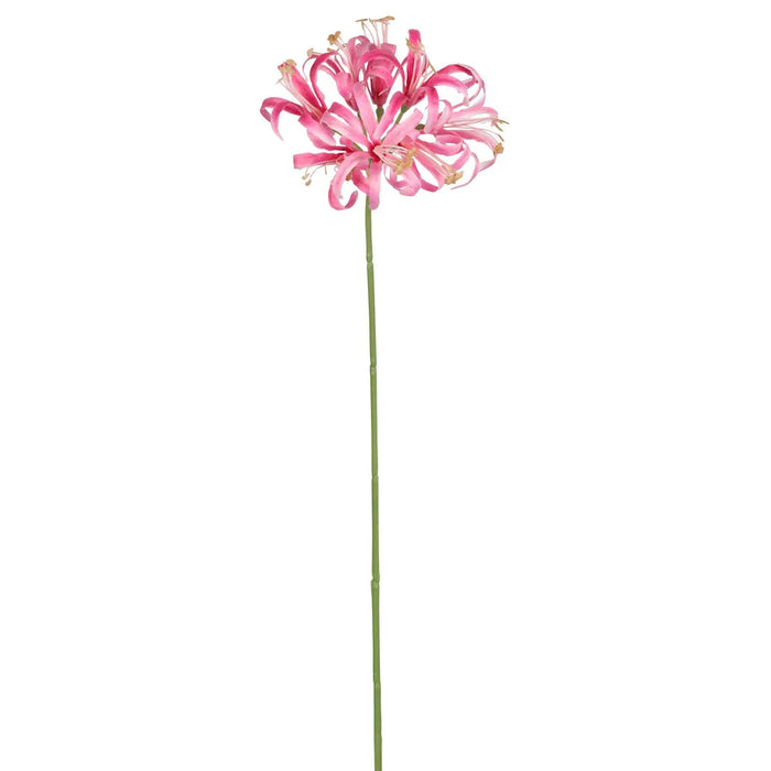 Nerine Lily Stem Pink 61cm Pack of 12