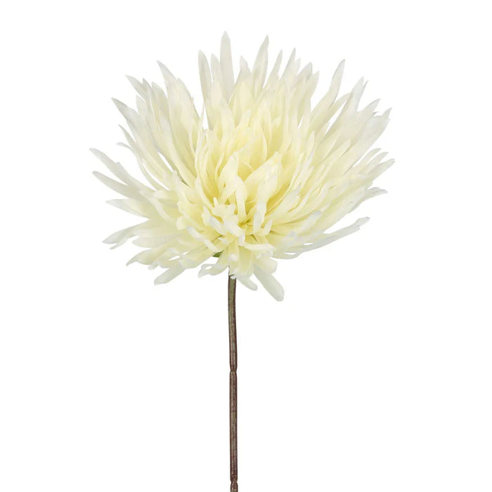 Mum Stem White 71cm Pack of 12