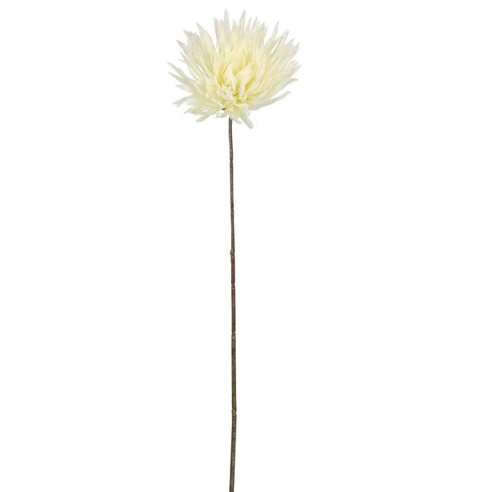 Mum Stem White 71cm Pack of 12