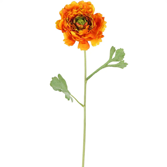 Ranunculus Stem Orange 56cm Pack of 12