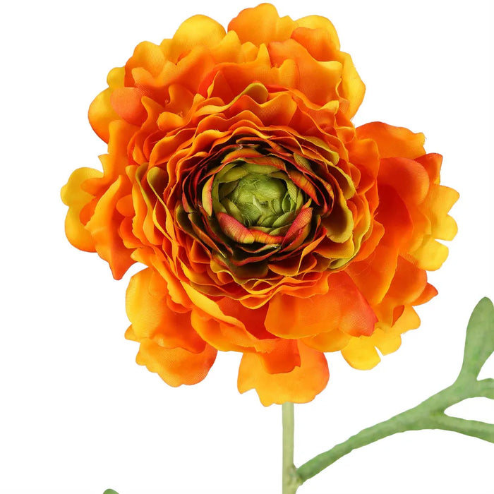 Ranunculus Stem Orange 56cm Pack of 12