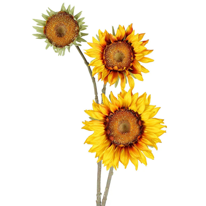 Sunflower Spray Yellow Brown 87cm Pack 12