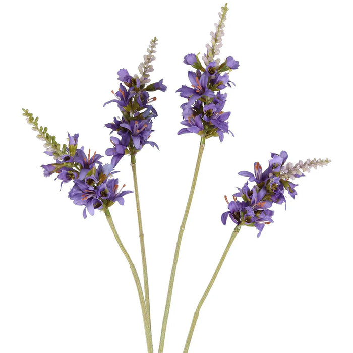 Salvia Nutans Sage Spray Lavender 84cm Pack of 12