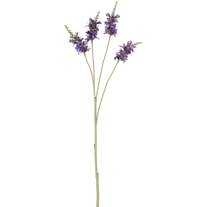 Salvia Nutans Sage Spray Lavender 84cm Pack of 12