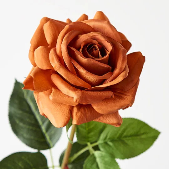 Rose Hannah Rust Orange 75cm Pack of 12