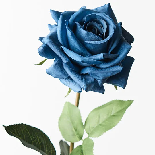 Rose Hannah Navy Blue 75cm Pack of 12